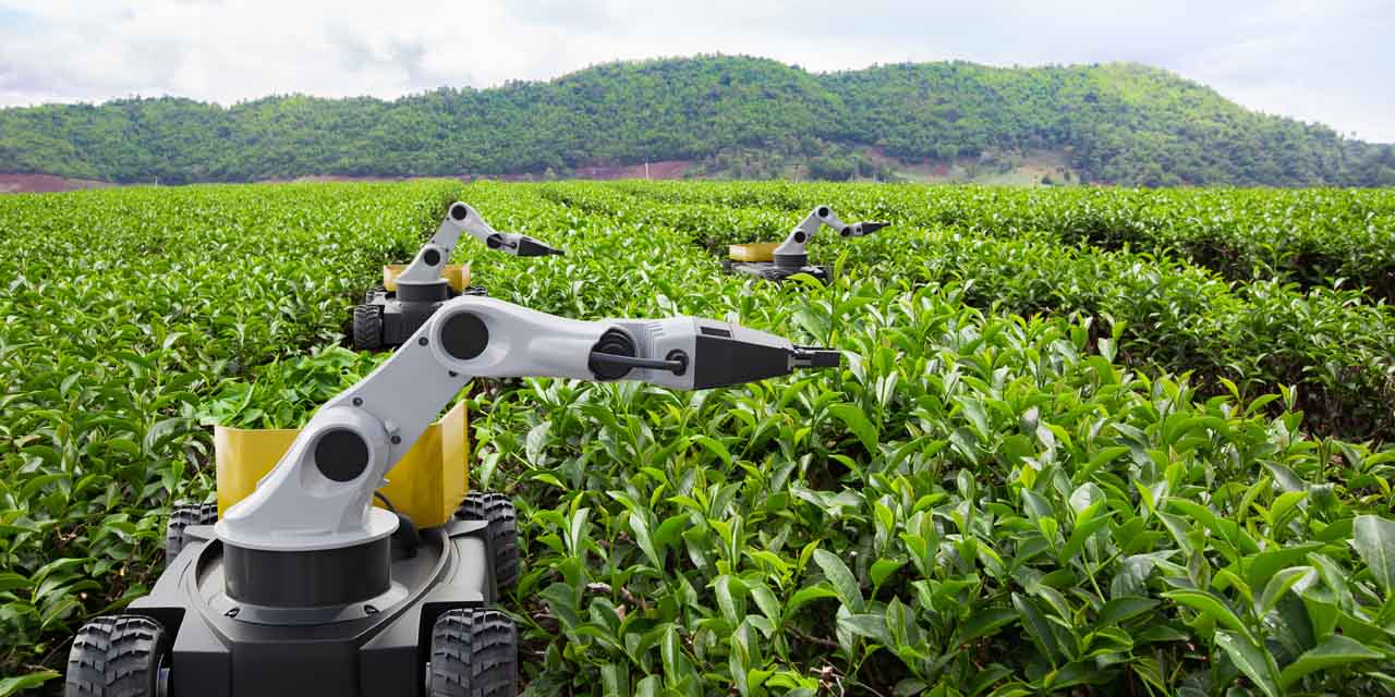 在田地里作业的农业机器人